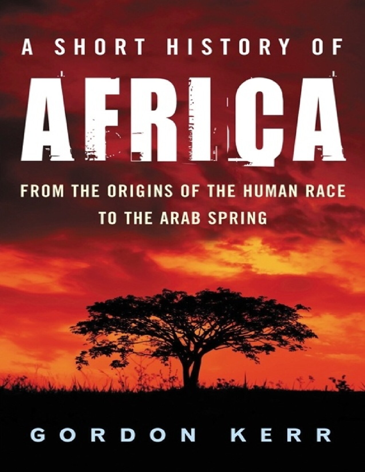 A short history of Africa : from the origins of the human race to the Arab spring - PDFDrive.com